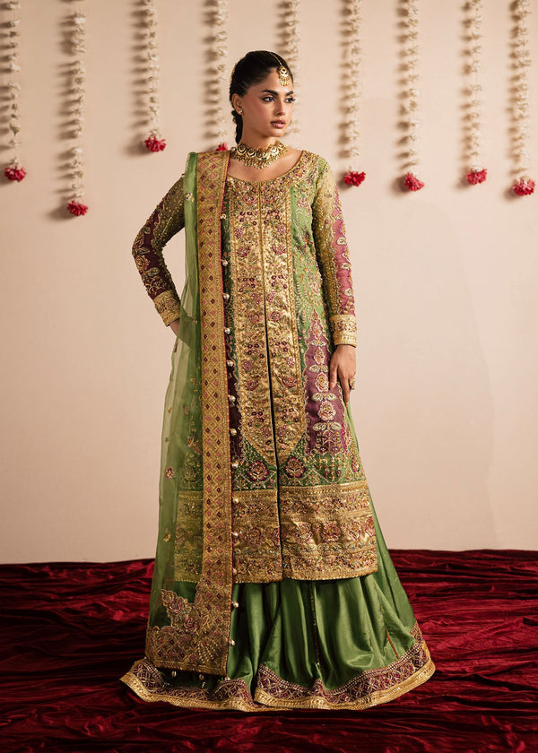Maria Osama Khan | Jhil Mil Wedding Festive | Shabnum -
Maria Osama - House Of Hania