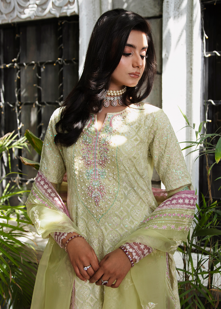 Maria Osama Khan | Rang e Noor Eid Edit | Nargis - House Of Hania