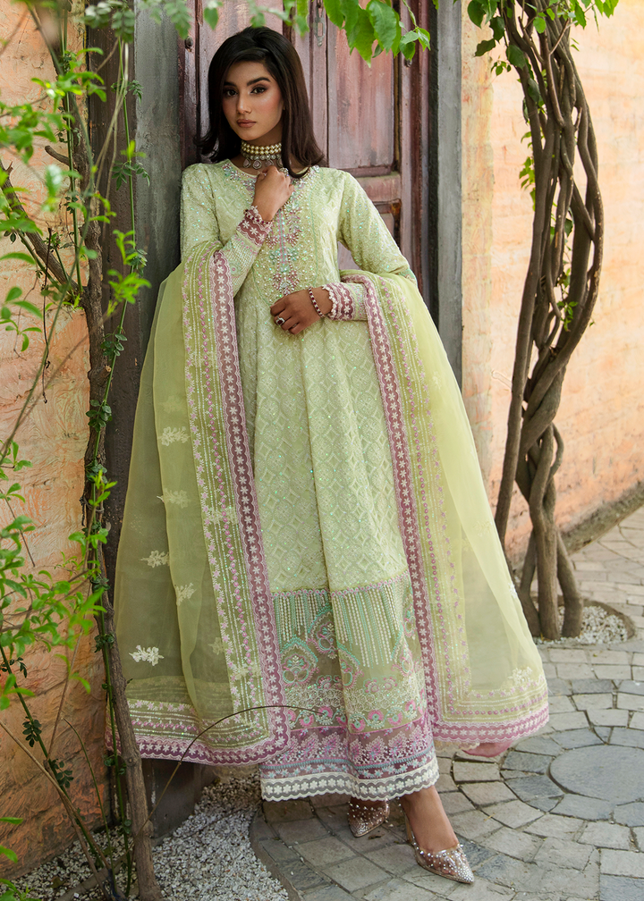 Maria Osama Khan | Rang e Noor Eid Edit | Nargis - House Of Hania