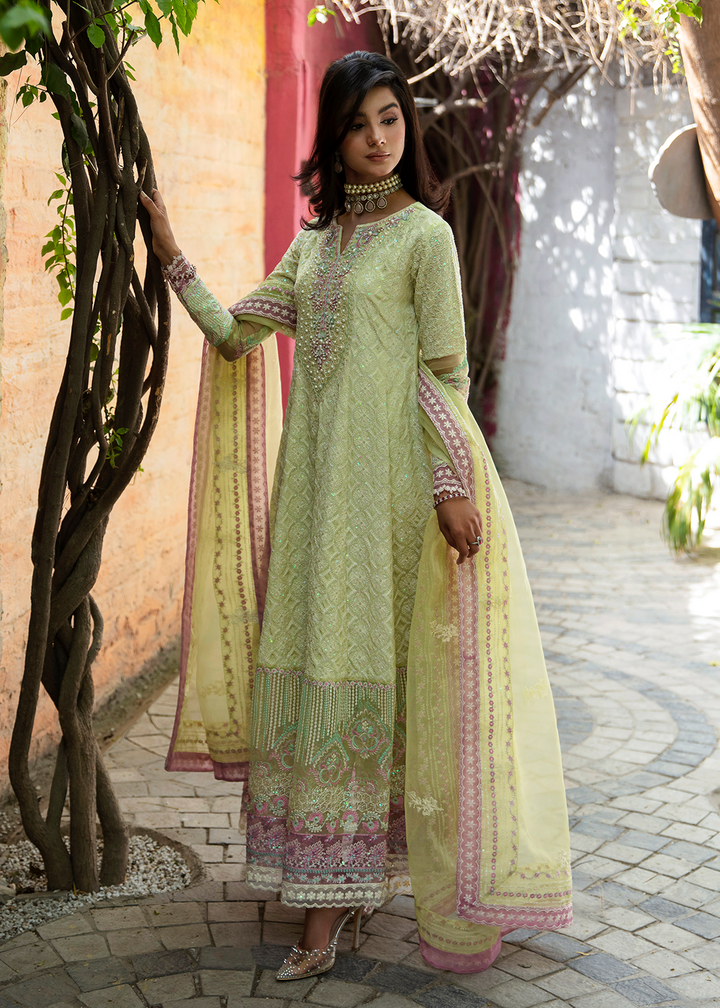 Maria Osama Khan | Rang e Noor Eid Edit | Nargis - House Of Hania
