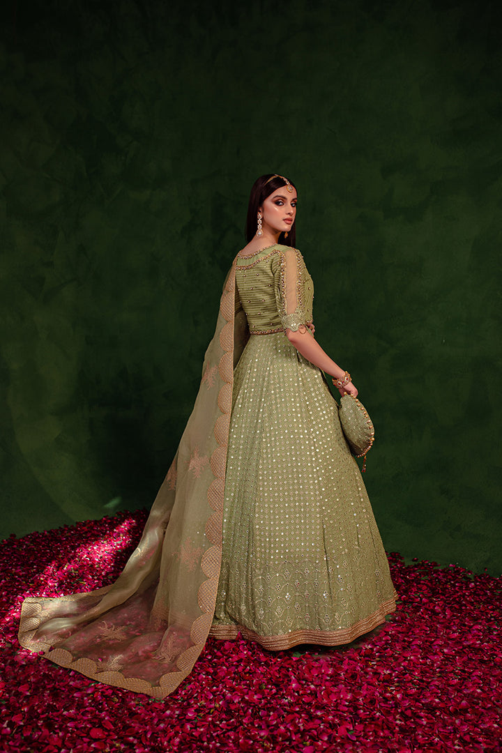 Maria Osama Khan | Salma Sitara | PARAS - House Of Hania