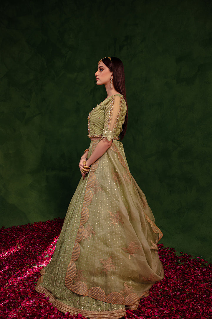 Maria Osama Khan | Salma Sitara | PARAS - House Of Hania