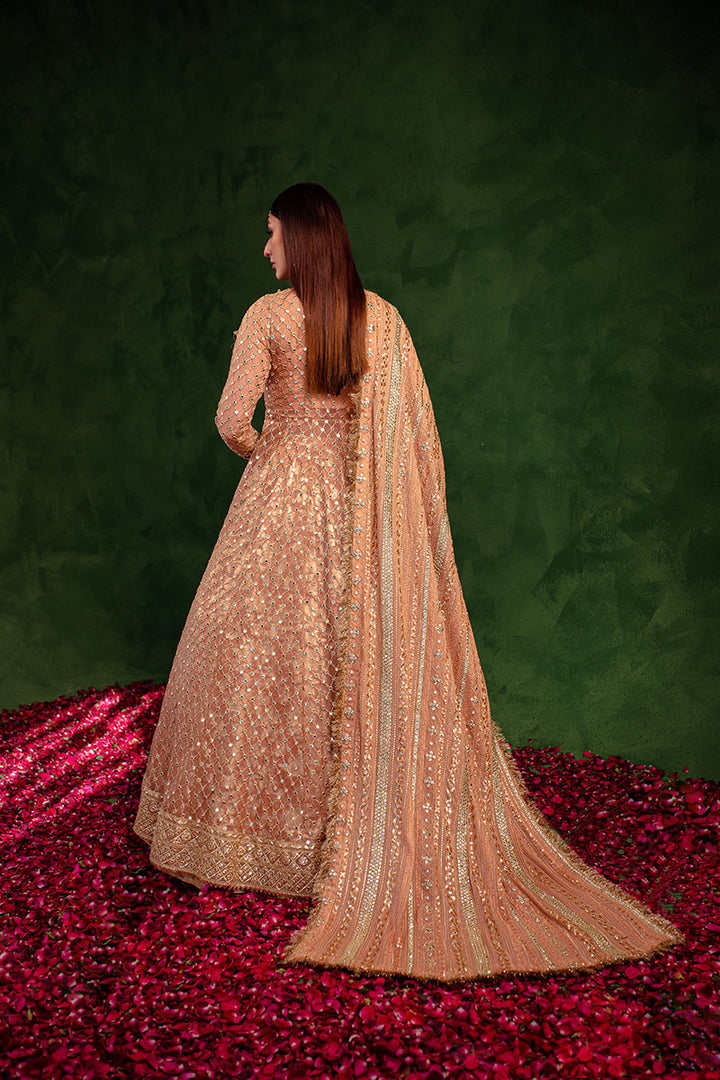 Maria Osama Khan | Salma Sitara | VASL - House Of Hania