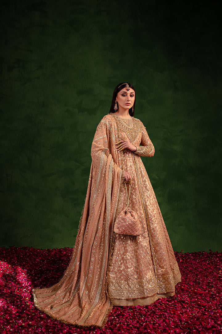 Maria Osama Khan | Salma Sitara | VASL - House Of Hania