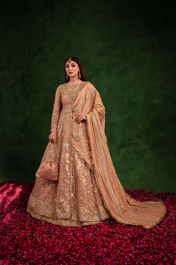 Maria Osama Khan | Salma Sitara | VASL - House Of Hania