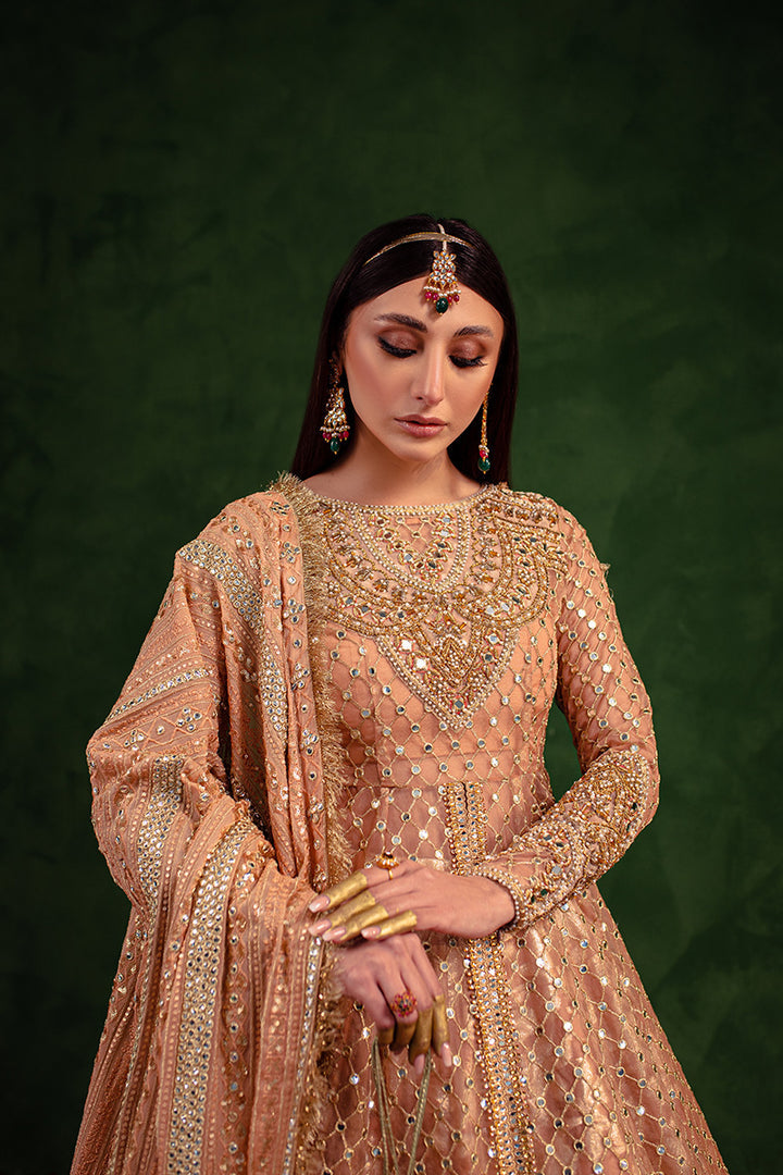 Maria Osama Khan | Salma Sitara | VASL - House Of Hania