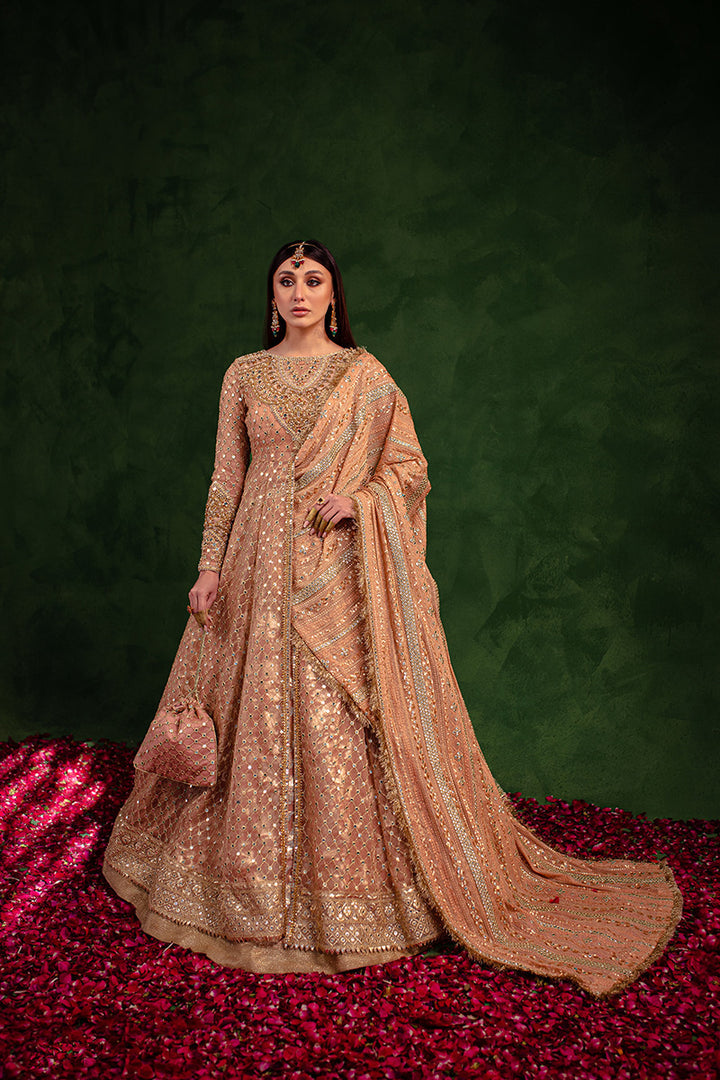 Maria Osama Khan | Salma Sitara | VASL - House Of Hania