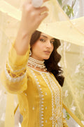 Maryams | Luxury Pret | M-1201 - House Of Hania
