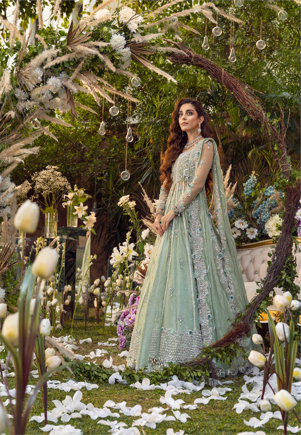 Maya | Wedding Formal Babul | PARNIYA - House Of Hania
