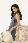 Mina Kashif | Ala Mode Luxury Formals 23 | Amaya - House Of Hania