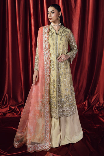 Mina Kashif | Kahani Formals | Rubab - House Of Hania