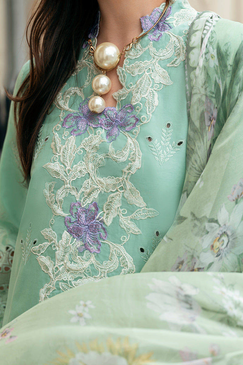 Mushq | Hemline Odyssey | BRISTOL BEAUTY - House Of Hania