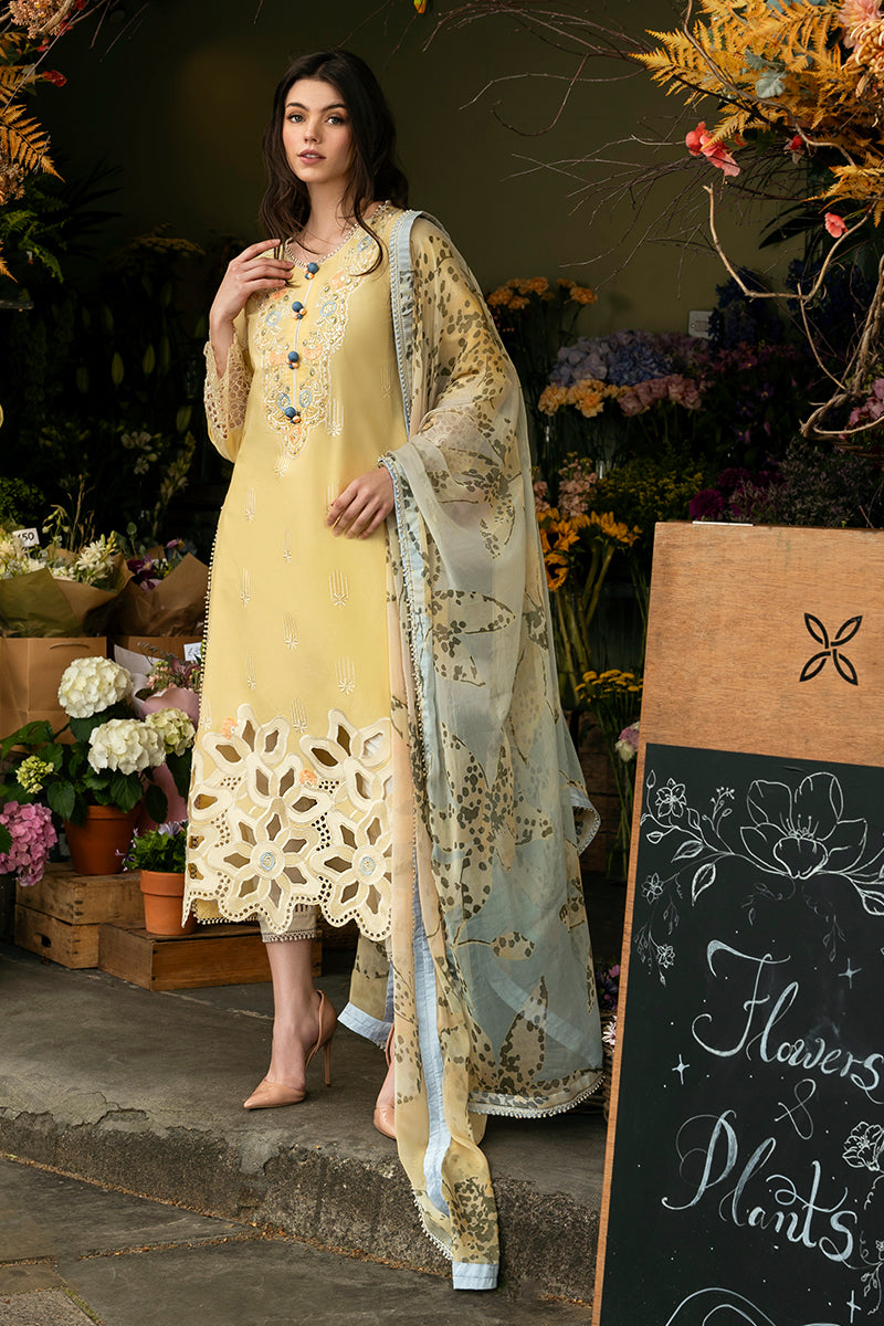 Mushq | Hemline Odyssey | SUNSET SWAY - House Of Hania