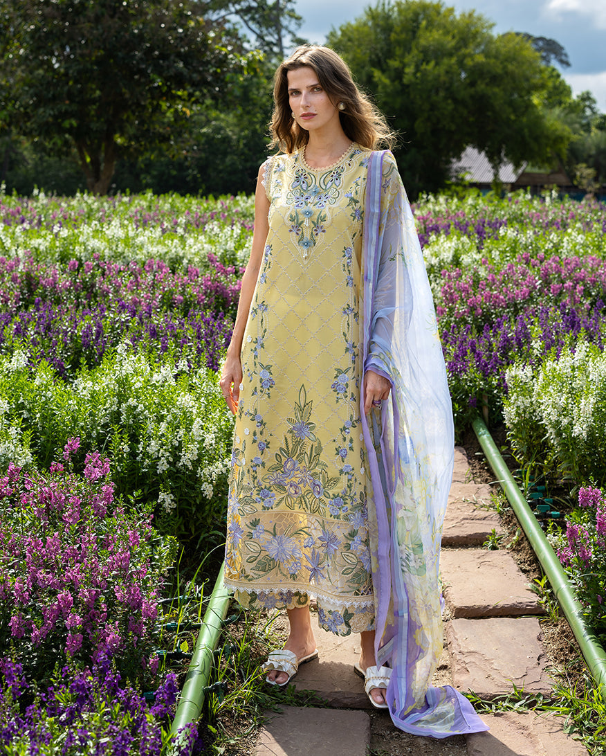 Mushq | Hemline the Secret Garden | Sunlit Meadow - House Of Hania