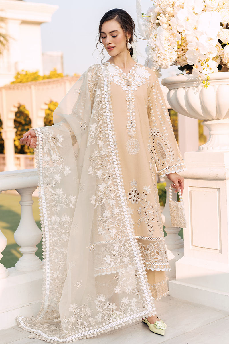 Mushq | La Toscana Casual Pret 24 |DIVINE DESERT - House Of Hania