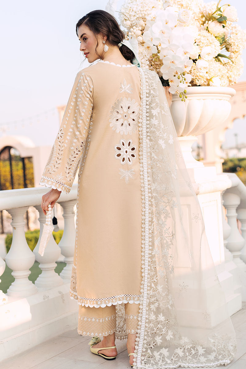 Mushq | La Toscana Casual Pret 24 |DIVINE DESERT - House Of Hania