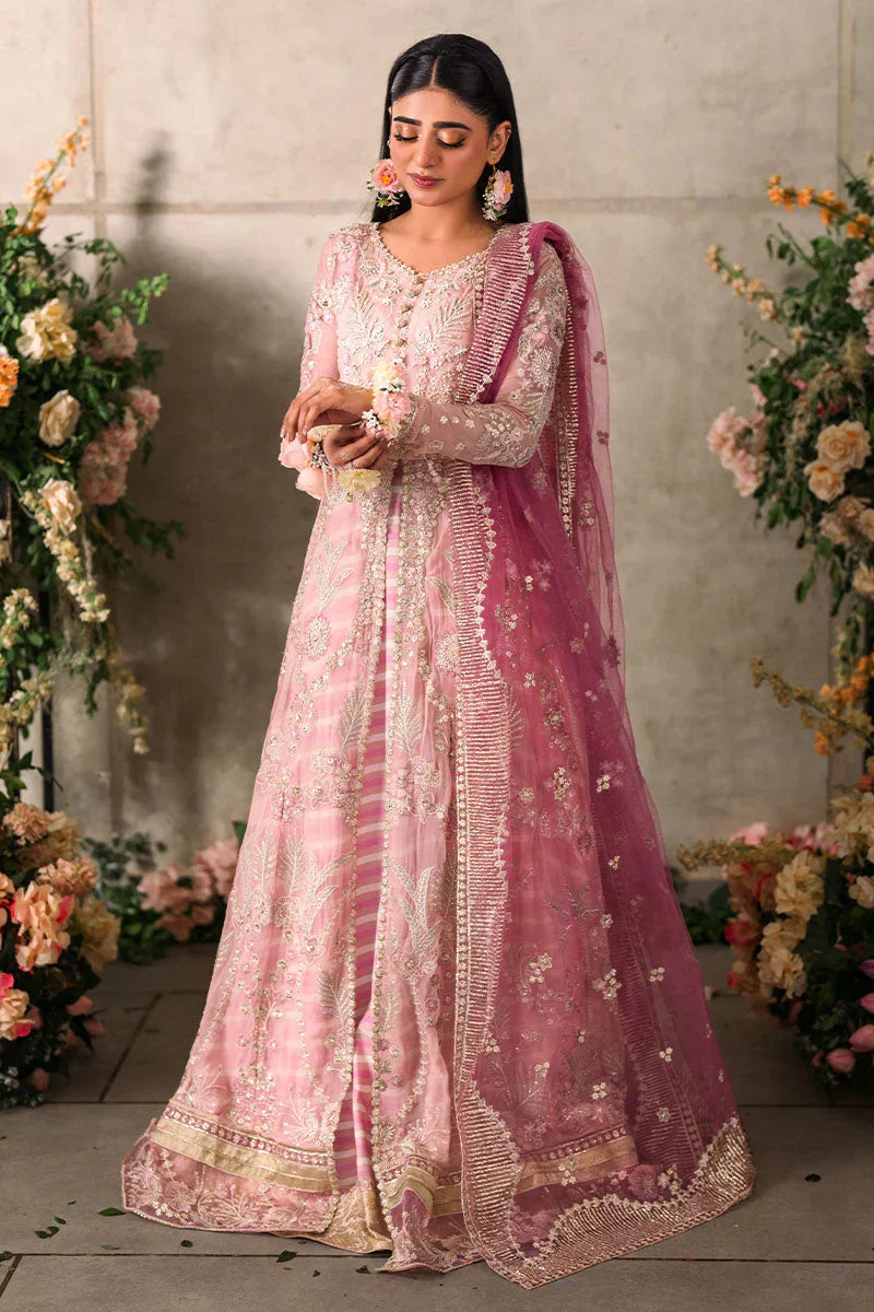 Mushq Mastani Evening Embroidered Chiffon 3Pc Suit MCH-03 MAISHA - House Of Hania