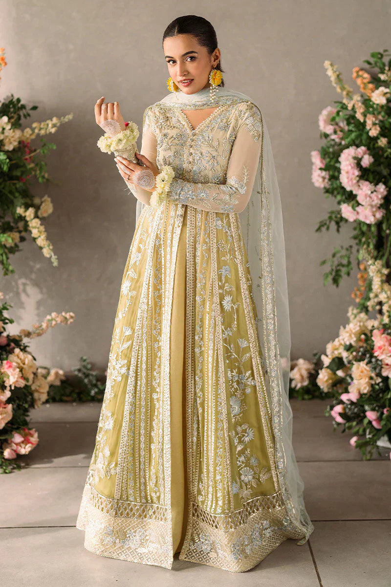 Mushq Mastani Evening Embroidered Chiffon 3Pc Suit MCH-06 HIRA - House Of Hania