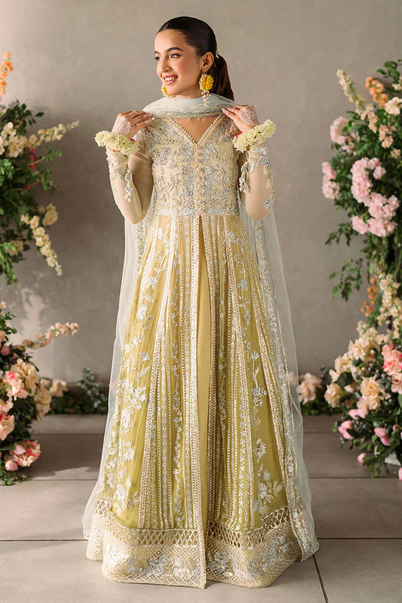 Mushq Mastani Evening Embroidered Chiffon 3Pc Suit MCH-06 HIRA - House Of Hania