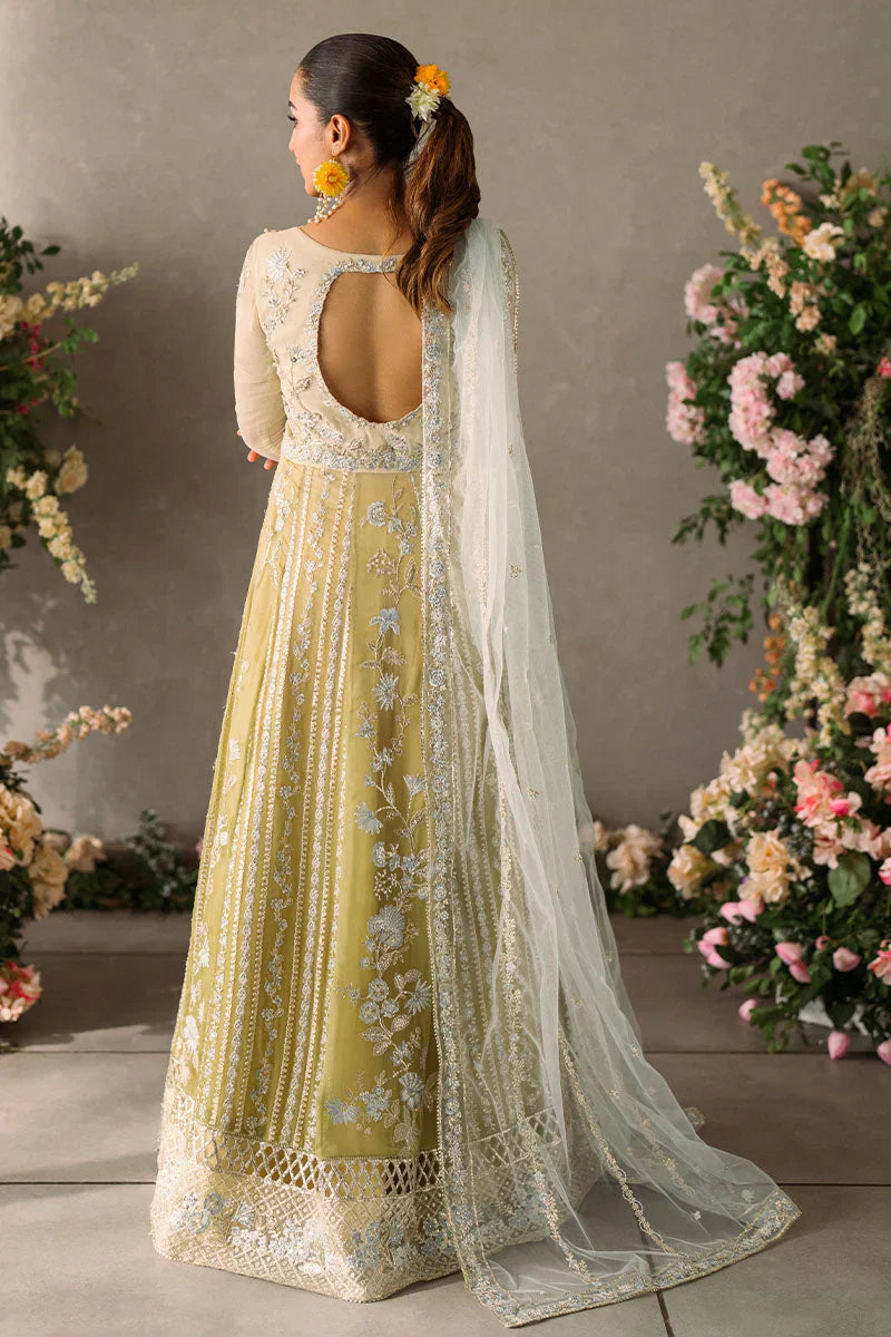 Mushq Mastani Evening Embroidered Chiffon 3Pc Suit MCH-06 HIRA - House Of Hania