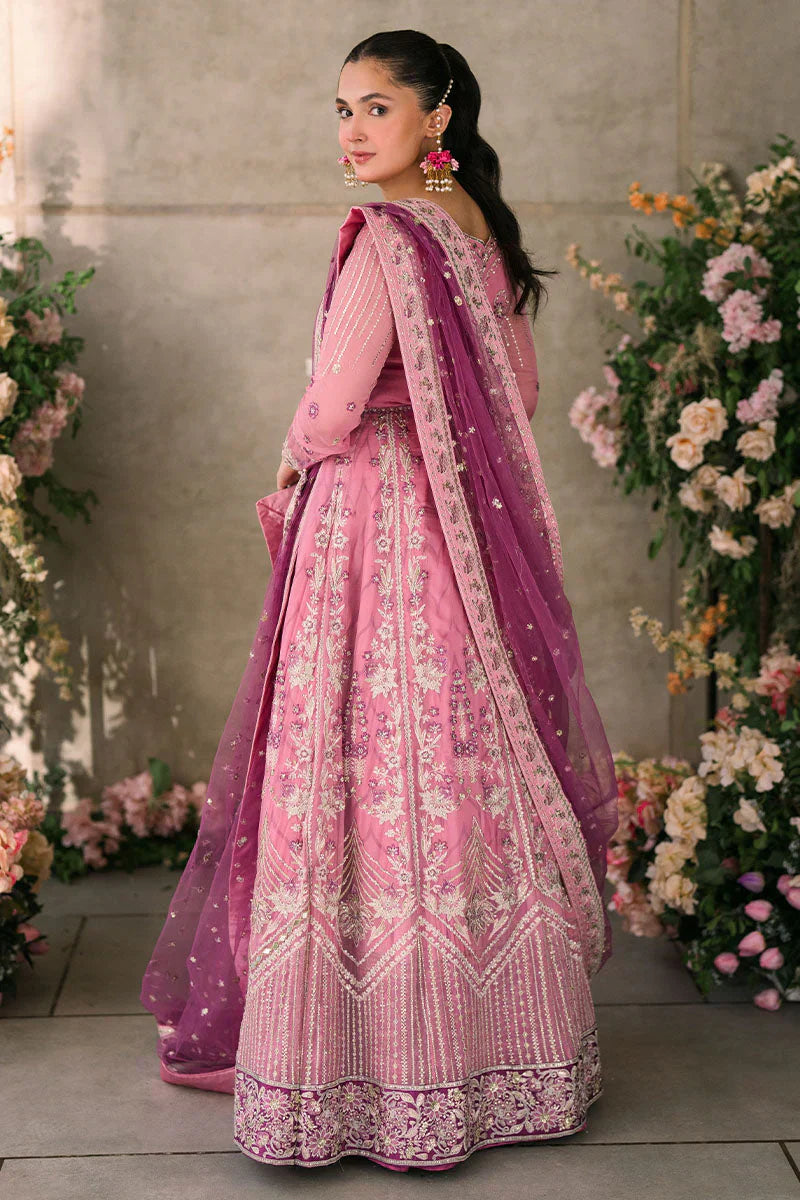 Mushq Mastani Evening Embroidered Chiffon 3Pc Suit MCH-08 DUA - House Of Hania