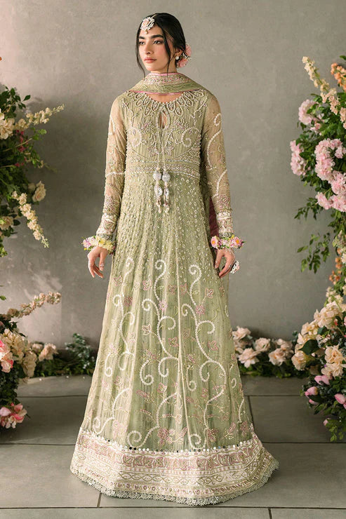 Mushq Mastani Evening Embroidered Chiffon 3Pc Suit MCH-10 NAMAR - House Of Hania