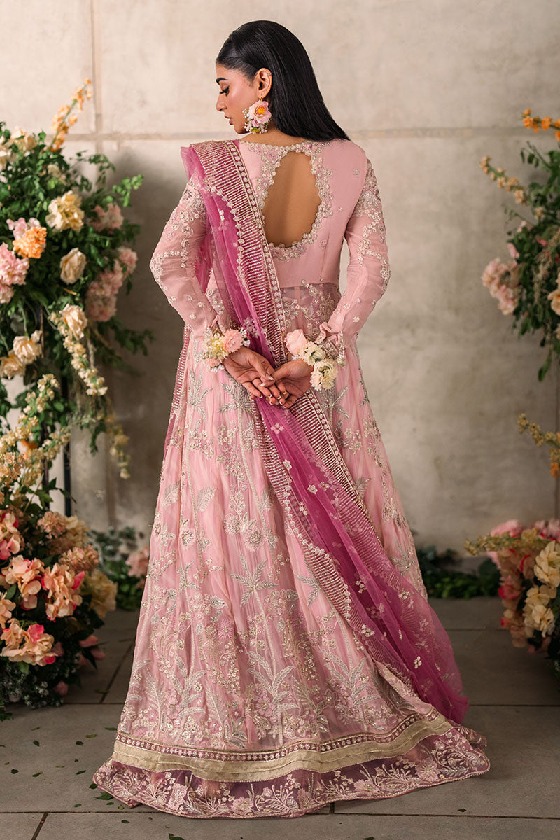 Mushq | Mastani Evening Luxury Chiffon | Maisha - House Of Hania