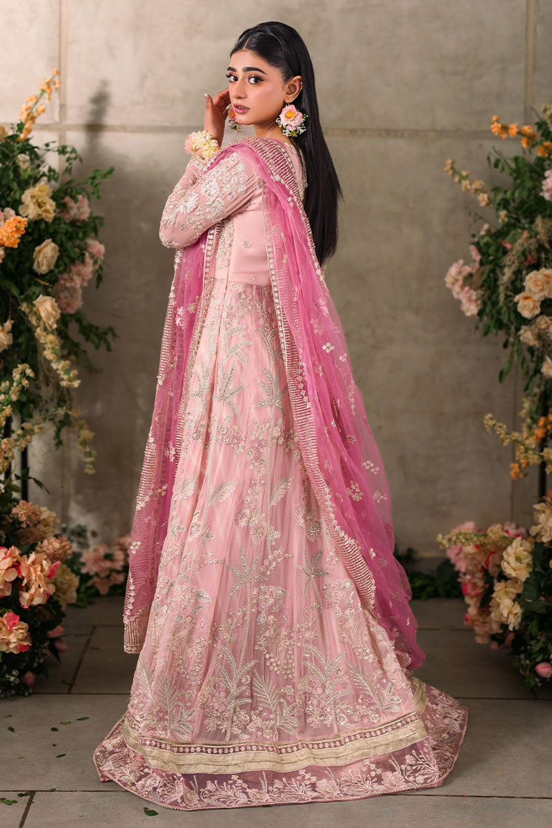 Mushq | Mastani Evening Luxury Chiffon | Maisha - House Of Hania