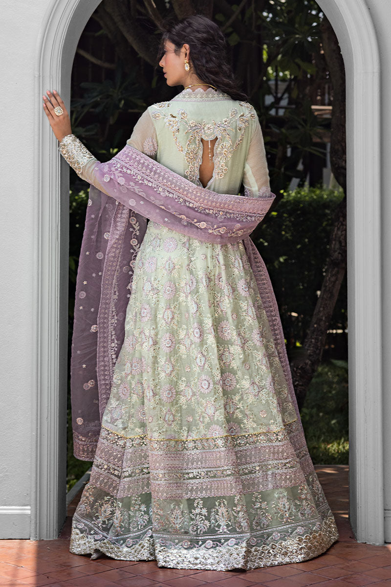 Mushq | Roohi Luxury Collection | AARA - House Of Hania