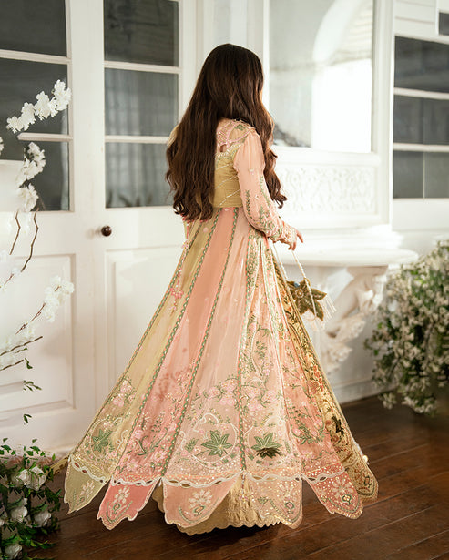 Mushq | Sham Shandaar Festive | Sur Sunehri - House Of Hania
