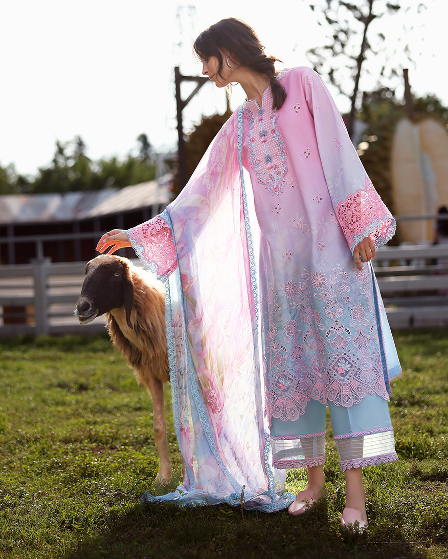 Mushq | Solace | Ombre Chikankari | Faint Blossom - House Of Hania