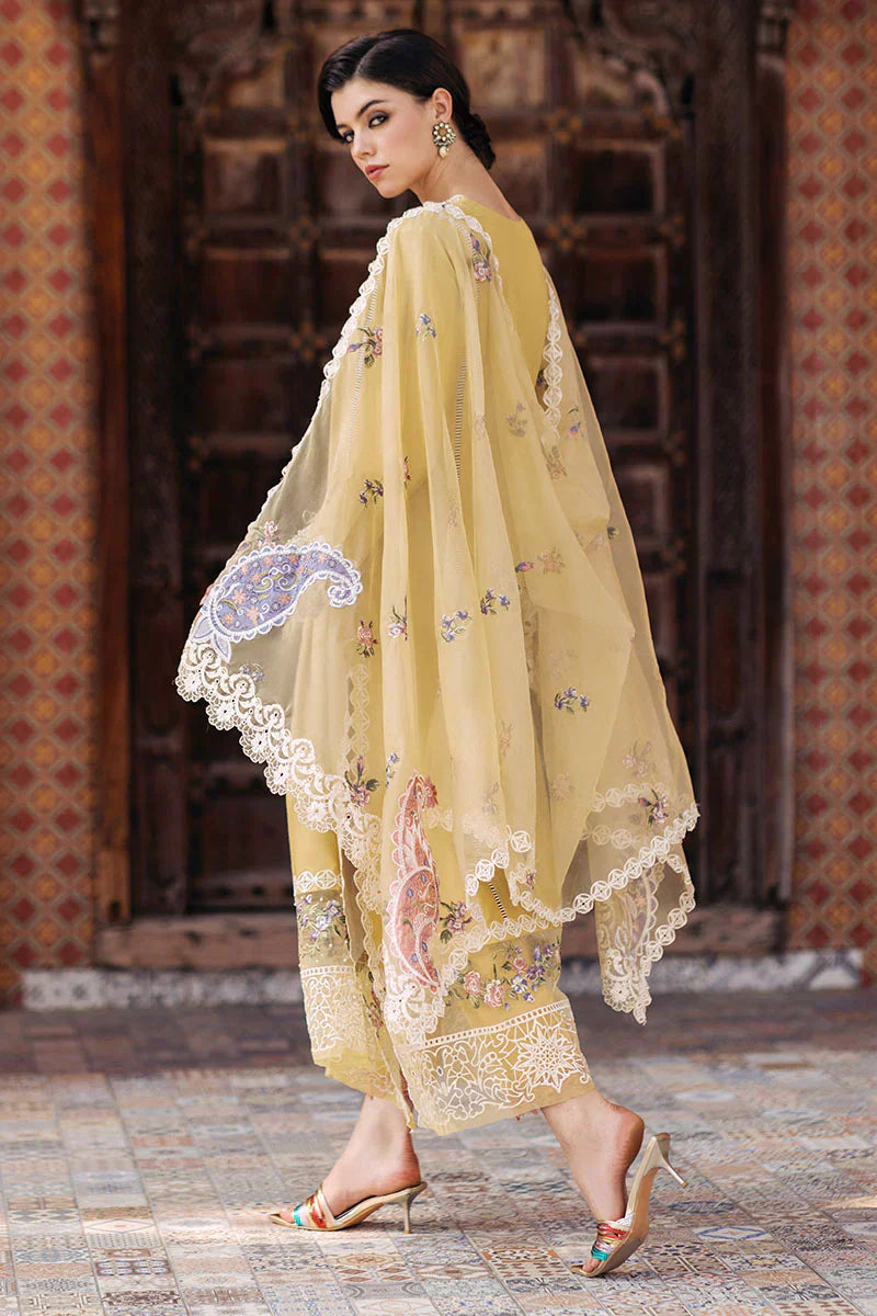 Mushq | Tehreem Luxury Pret 24 | GOLDEN GLIMMER - House Of Hania