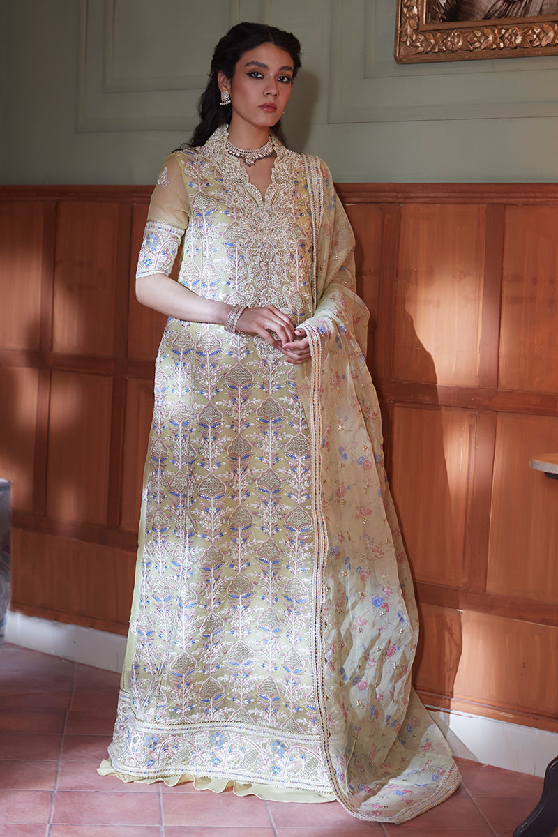 NEW MUSHQ - DINA - House Of Hania