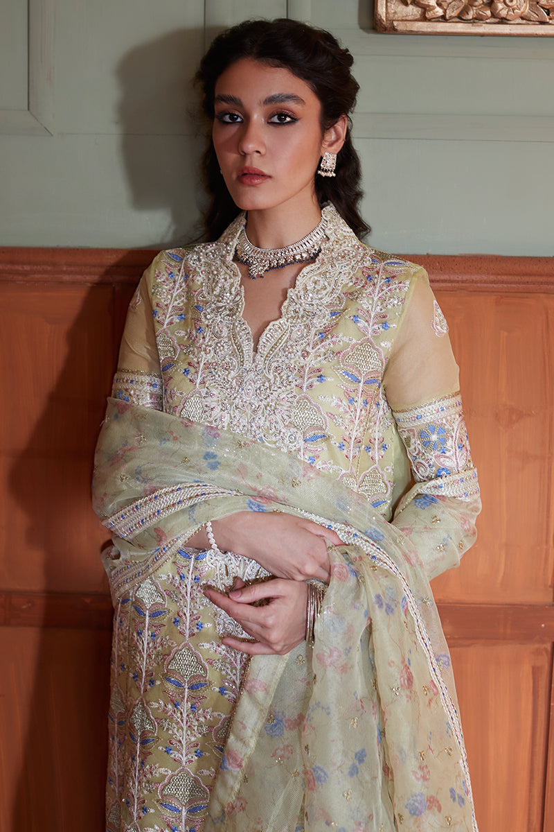 NEW MUSHQ - DINA - House Of Hania