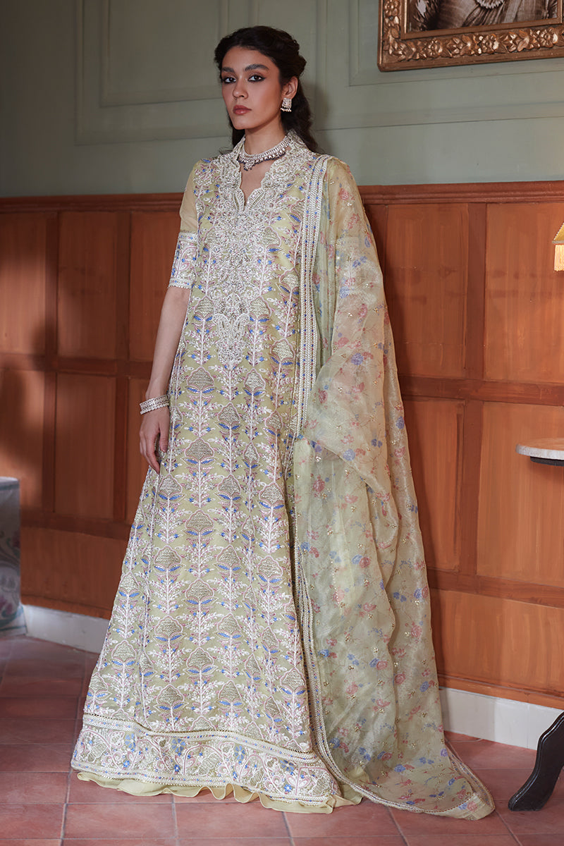 NEW MUSHQ - DINA - House Of Hania