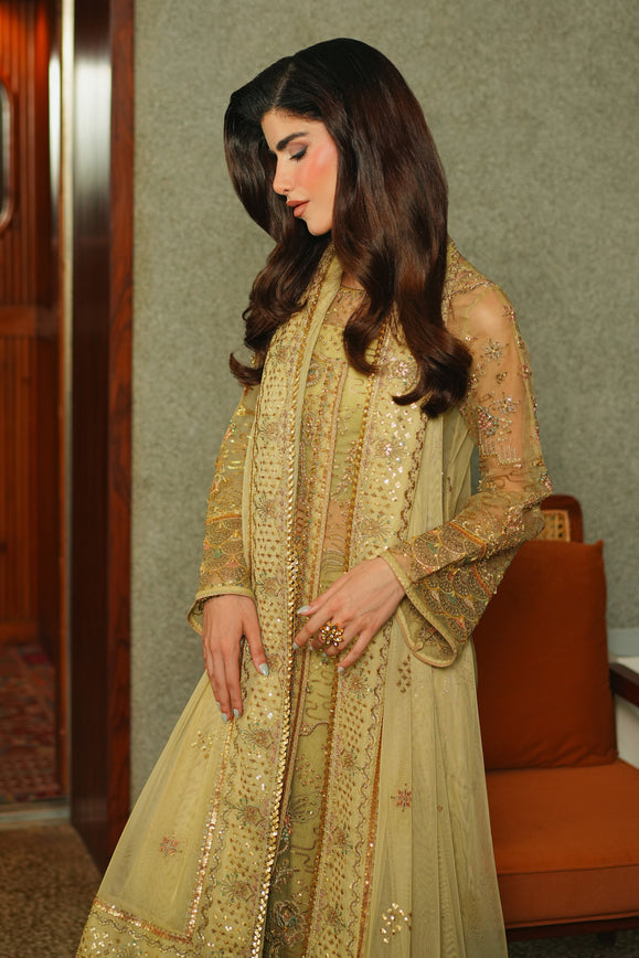 Naqshi | Celastra Formals | Nabah - House Of Hania