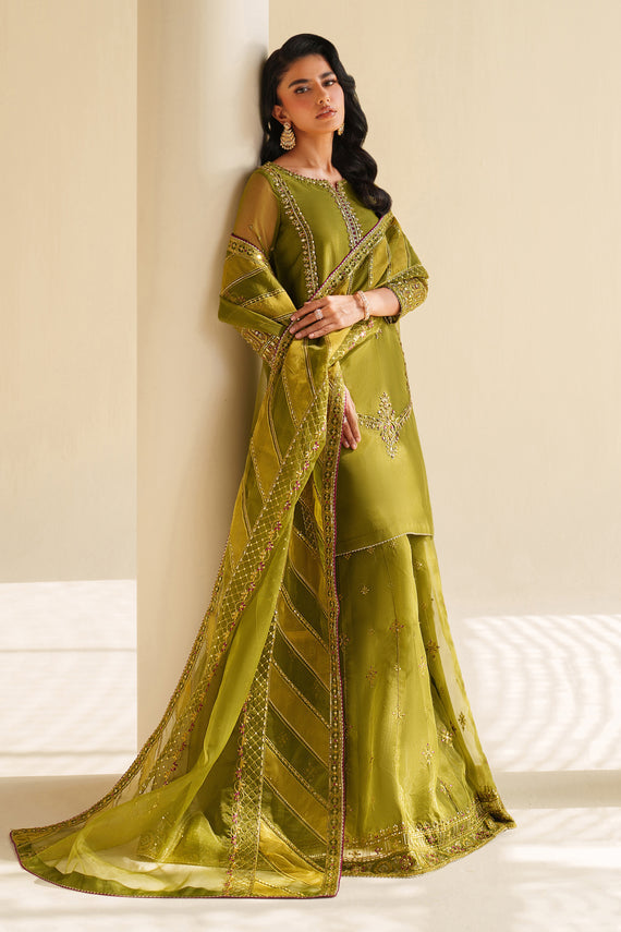 Naqshi | Feemora Organza Raw Silk | Feeha - House Of Hania