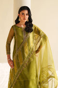 Naqshi | Feemora Organza Raw Silk | Feeha - House Of Hania