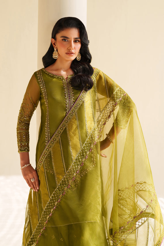 Naqshi | Feemora Organza Raw Silk | Feeha - House Of Hania