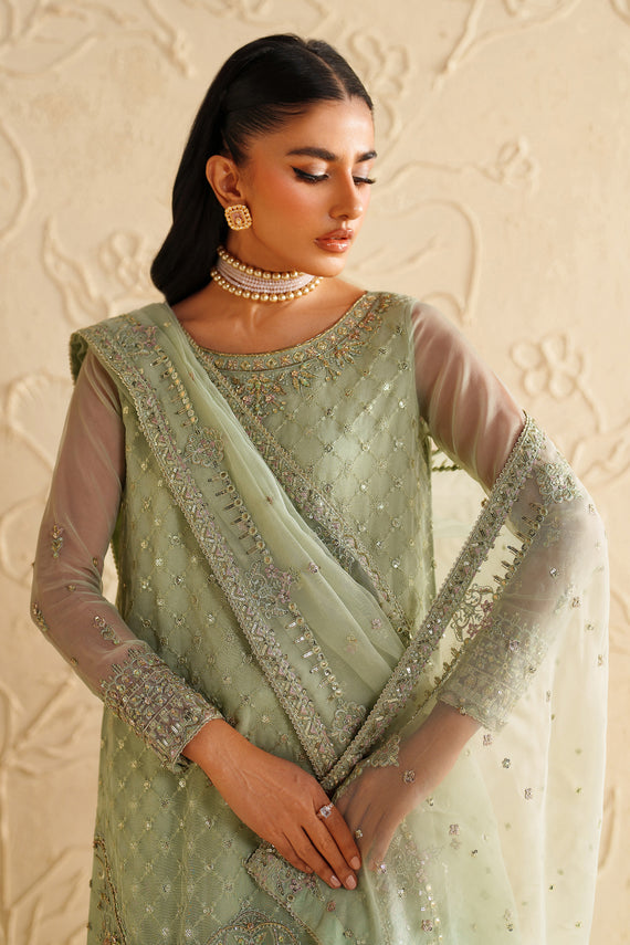 Naqshi | Feemora Organza Raw Silk | Hanam - House Of Hania