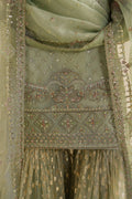 Naqshi | Feemora Organza Raw Silk | Hanam - House Of Hania