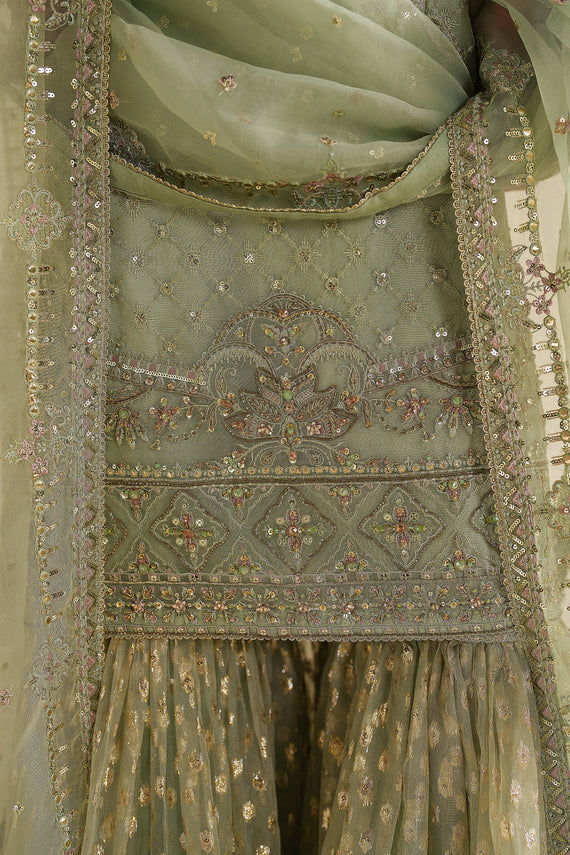 Naqshi | Feemora Organza Raw Silk | Hanam - House Of Hania