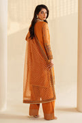 Naqshi | Feemora Organza Raw Silk | Yameen - House Of Hania