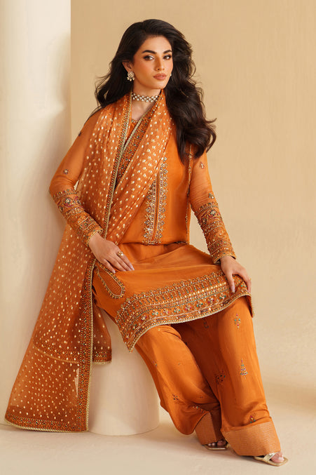 Naqshi | Feemora Organza Raw Silk | Yameen - House Of Hania