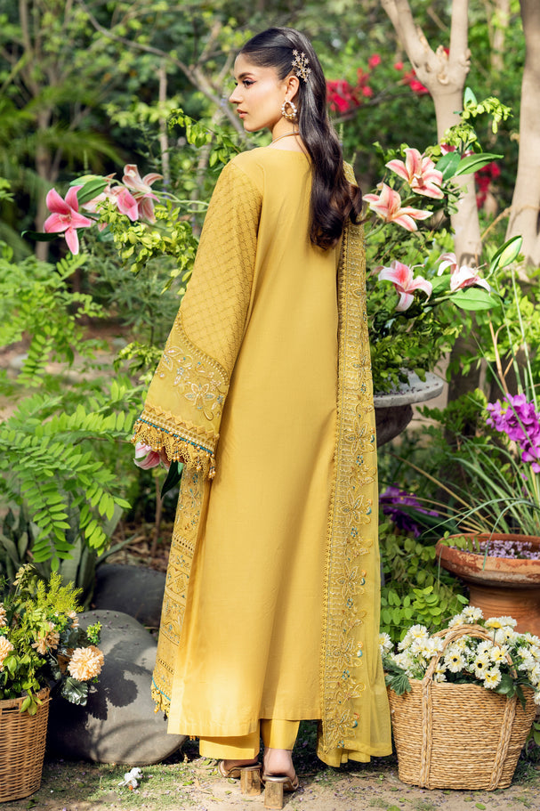 Naqshi | Festive Eid 26 | Shagufta - House Of Hania