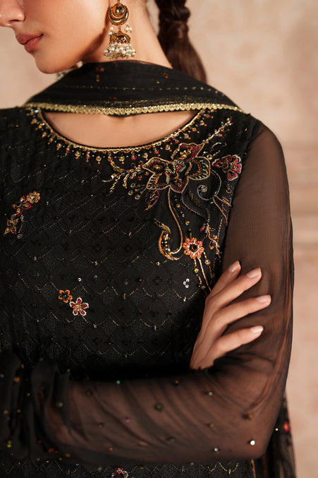 Naqshi | Kiraz Chiffon Collection | Hunaira - House Of Hania