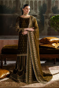 Naqshi | Nazleen Velvet | Danara - House Of Hania