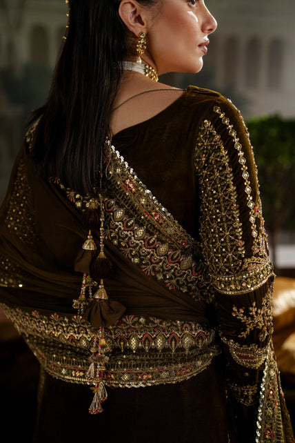 Naqshi | Nazleen Velvet | Danara - House Of Hania