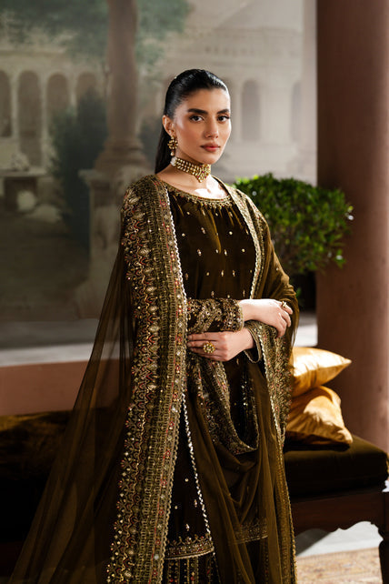 Naqshi | Nazleen Velvet | Danara - House Of Hania