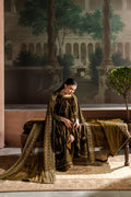 Naqshi | Nazleen Velvet | Danara - House Of Hania